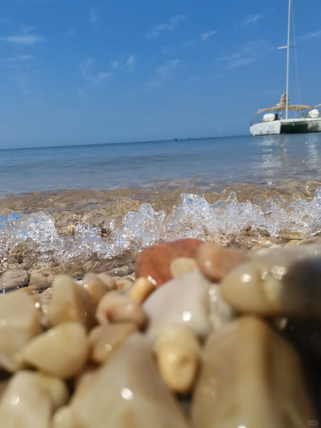 长岛行之烽山林海