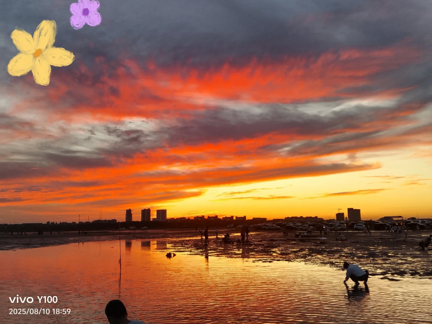 坐在海边看日落