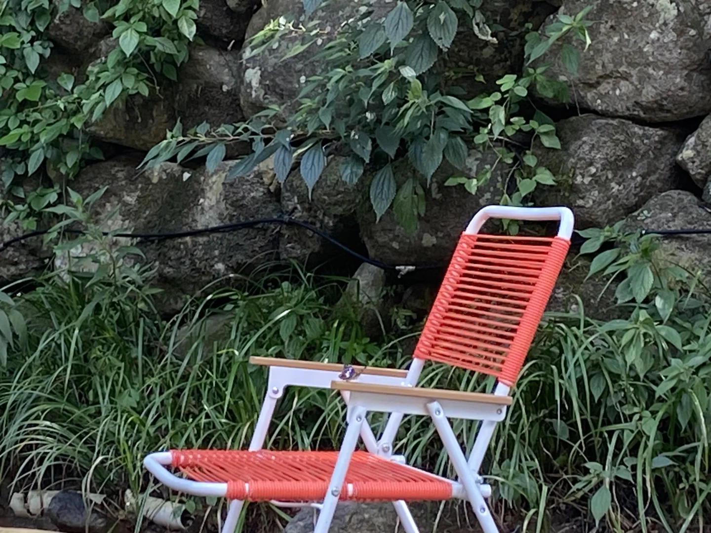 夏日出行计划之大陈北山