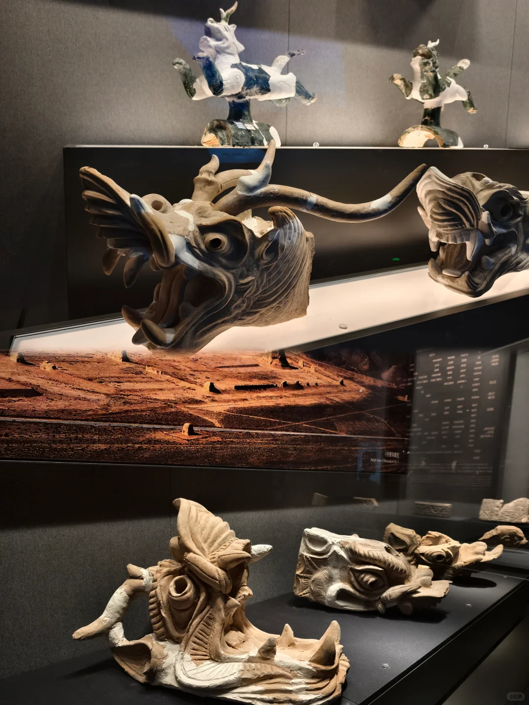 银川 | 暴走~西夏陵会惩罚每一个踩点的人