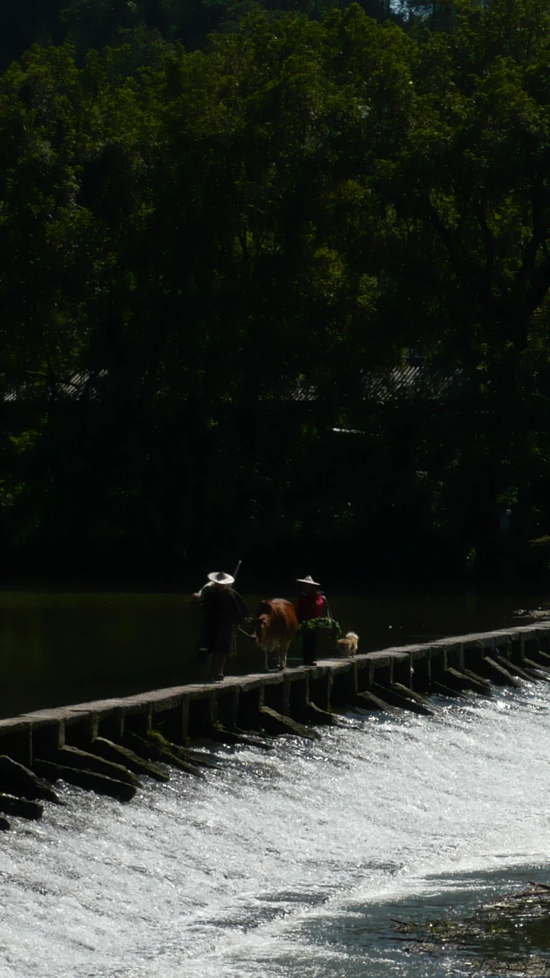 吸氧周末｜丽水48小时🌳🫧🌄