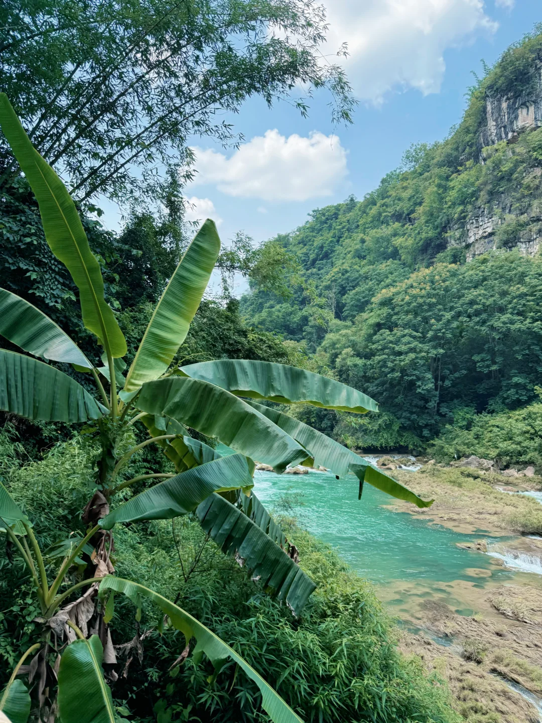 今日任务：走进小学课本里的“黄果树瀑布”