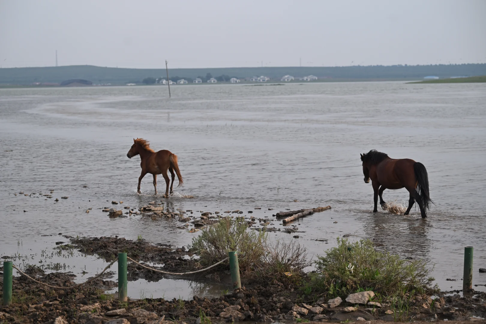 🌵乌兰察布周边🆓小众景点地-无滤镜版