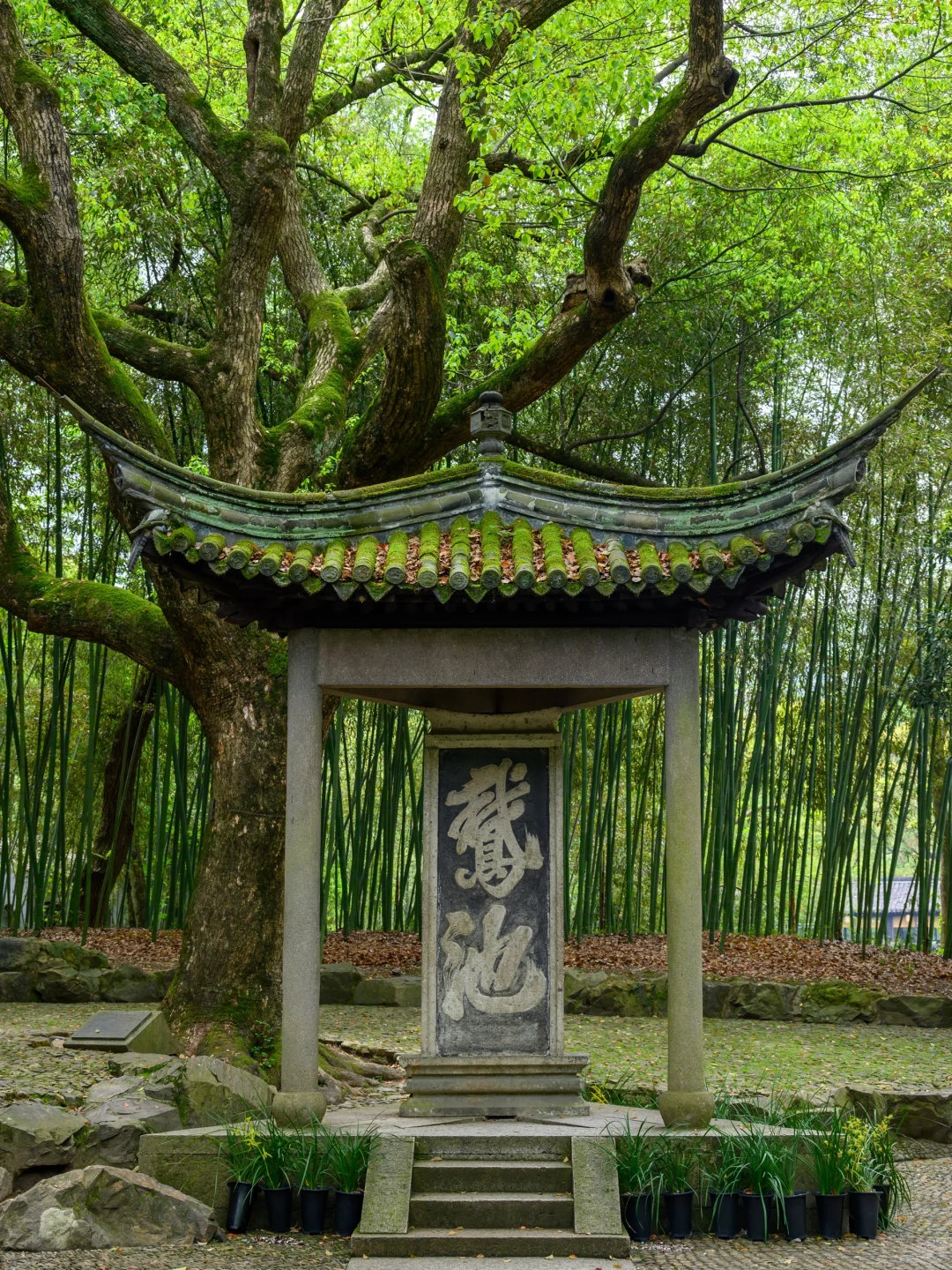 如果你去绍兴玩两天，复制这条citywalk 路线