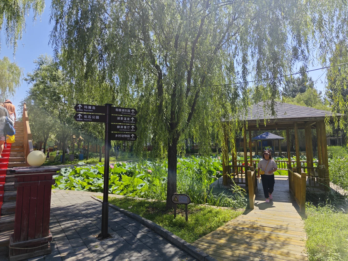 探索北京的小众景点-稻香湖公园