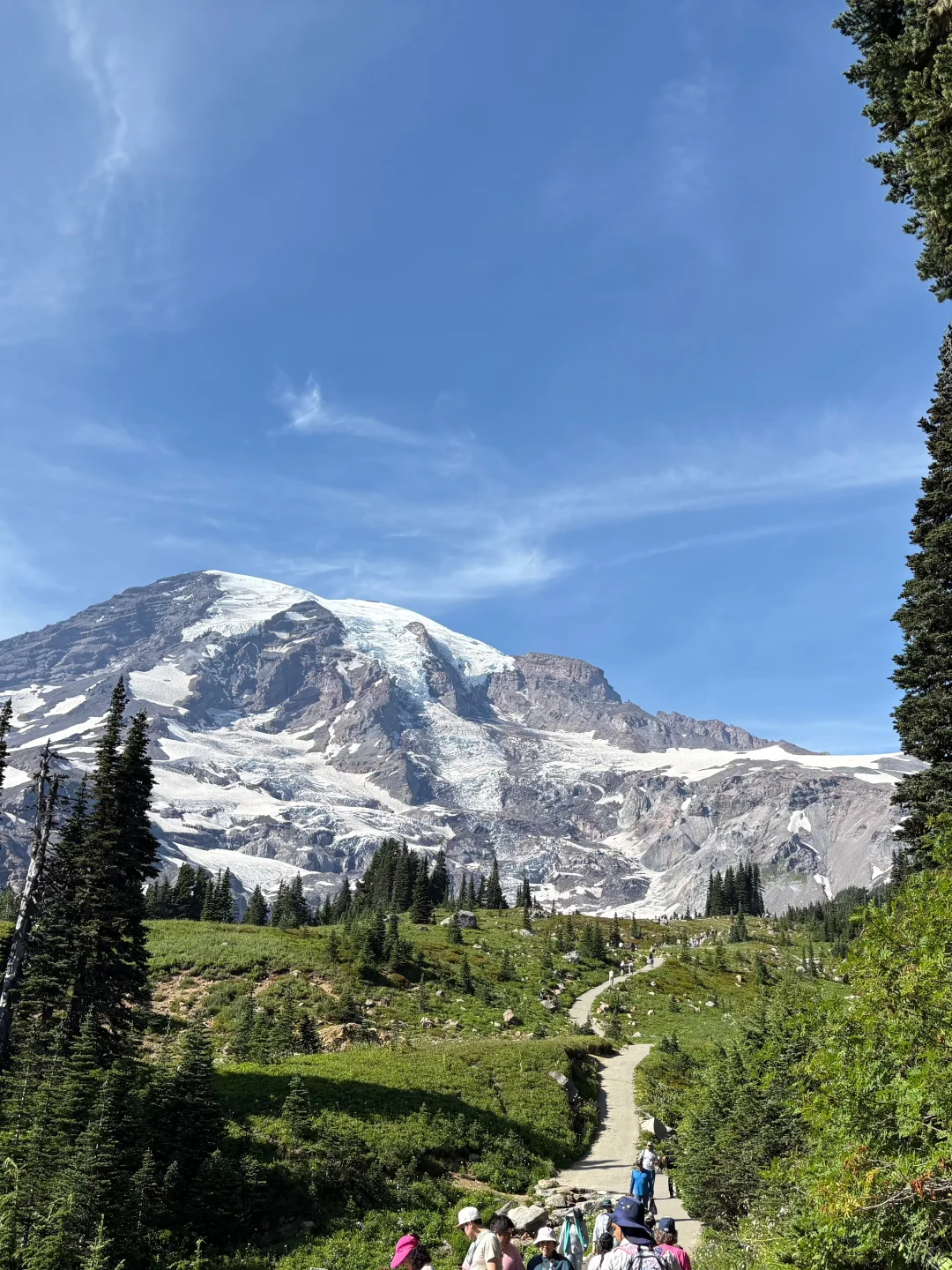 雷尼尔山|野花季遛娃线路