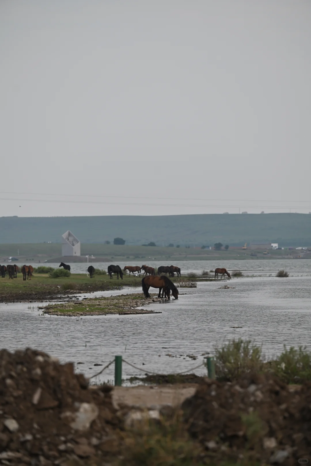 🌵乌兰察布周边🆓小众景点地-无滤镜版