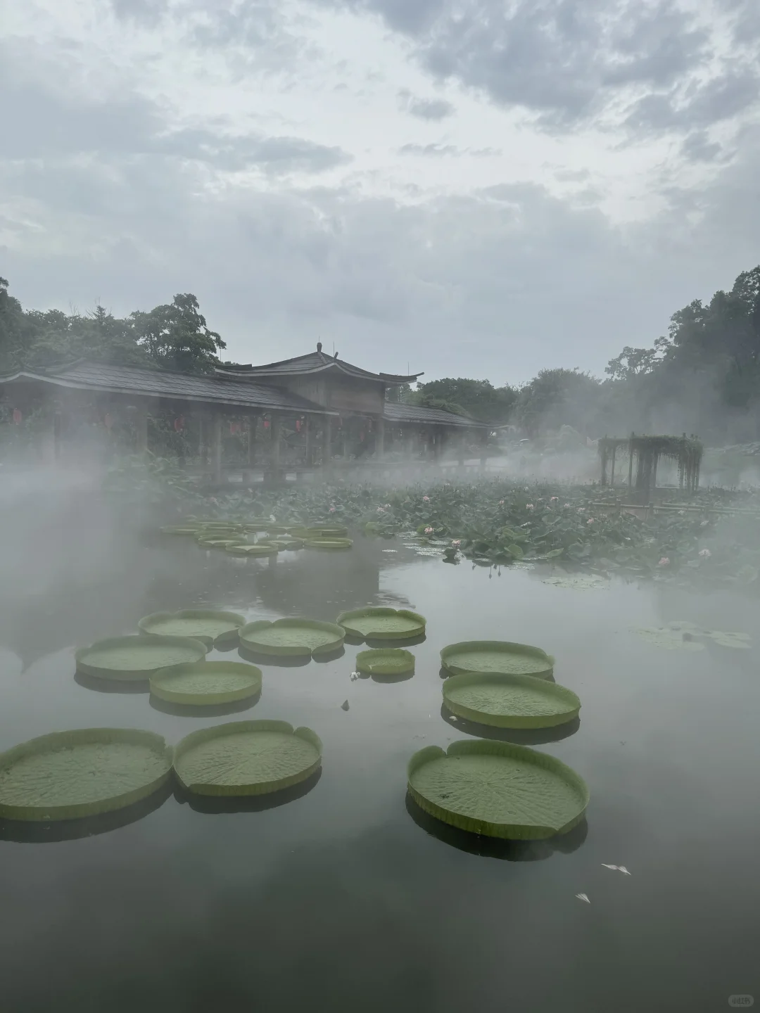 逃离城市~广州莲花山⛰️