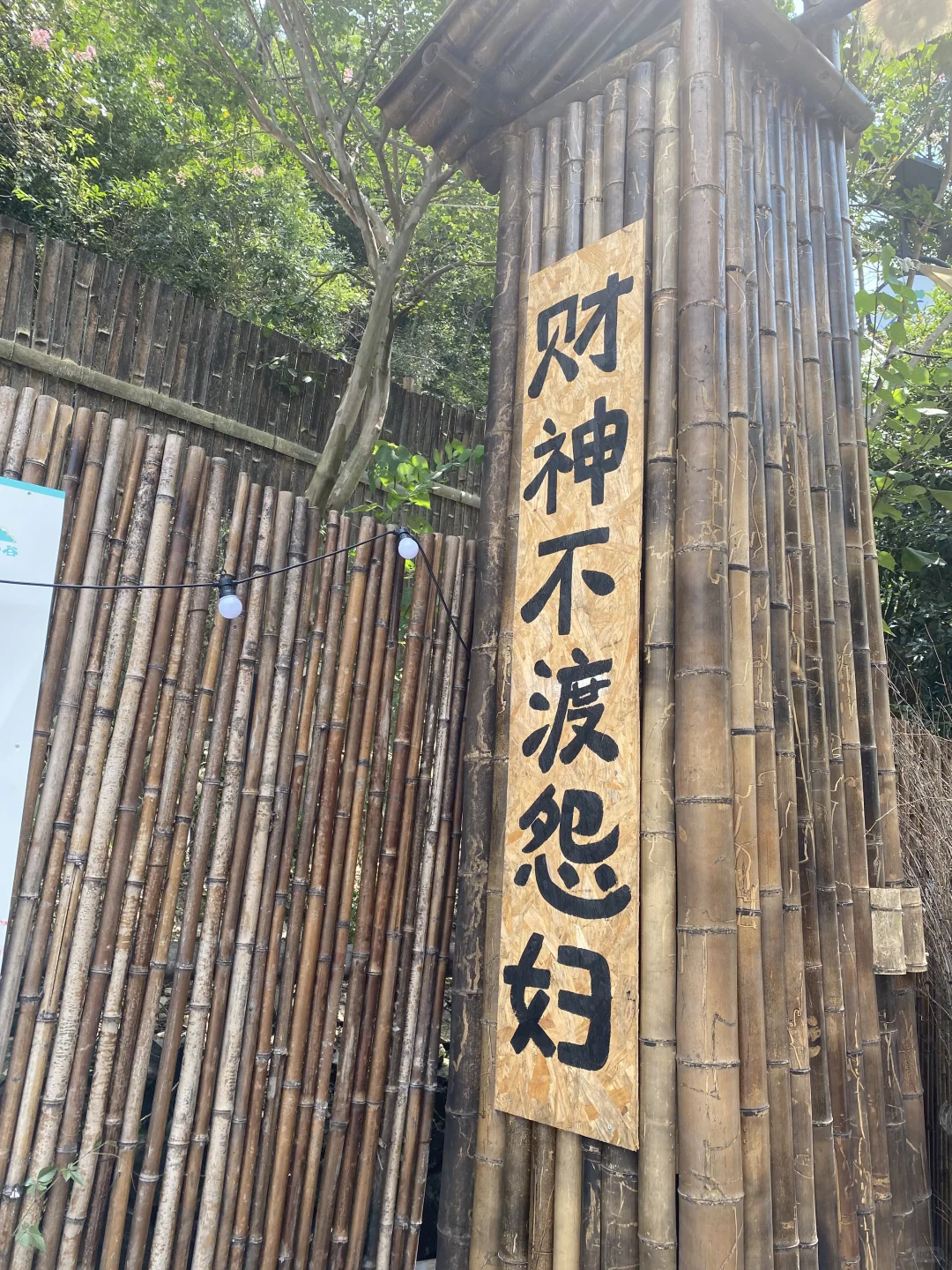 夏日出行计划之大陈北山