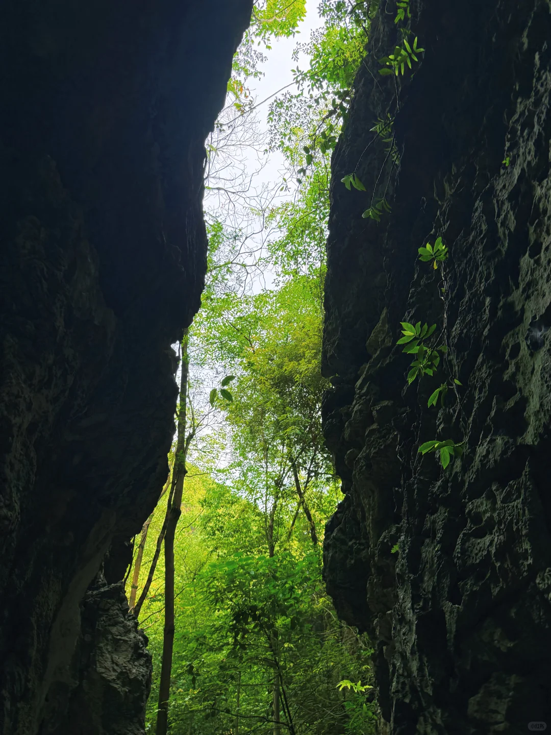 今日任务：走进小学课本里的“黄果树瀑布”