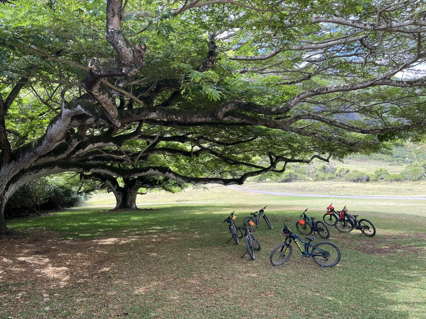 Novice E-Bike Tour ｜ 古兰尼牧场