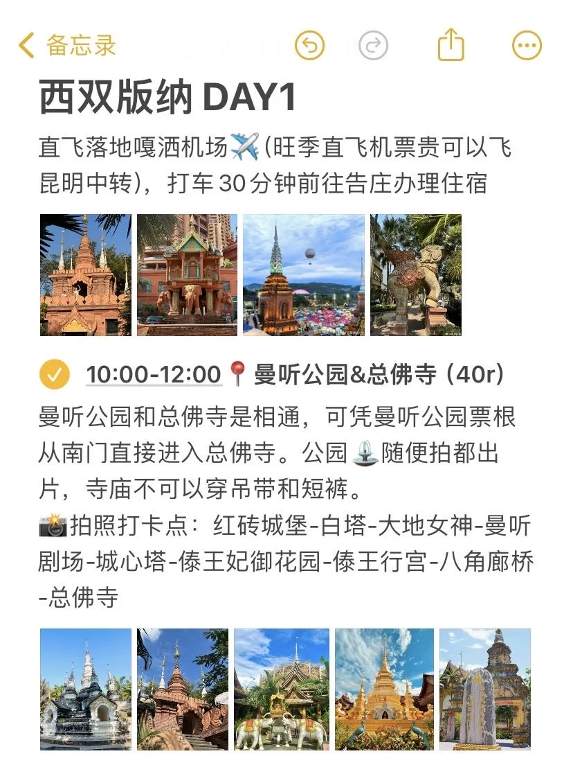 📍版纳已回！本J人对自己的攻略复盘甚是满意