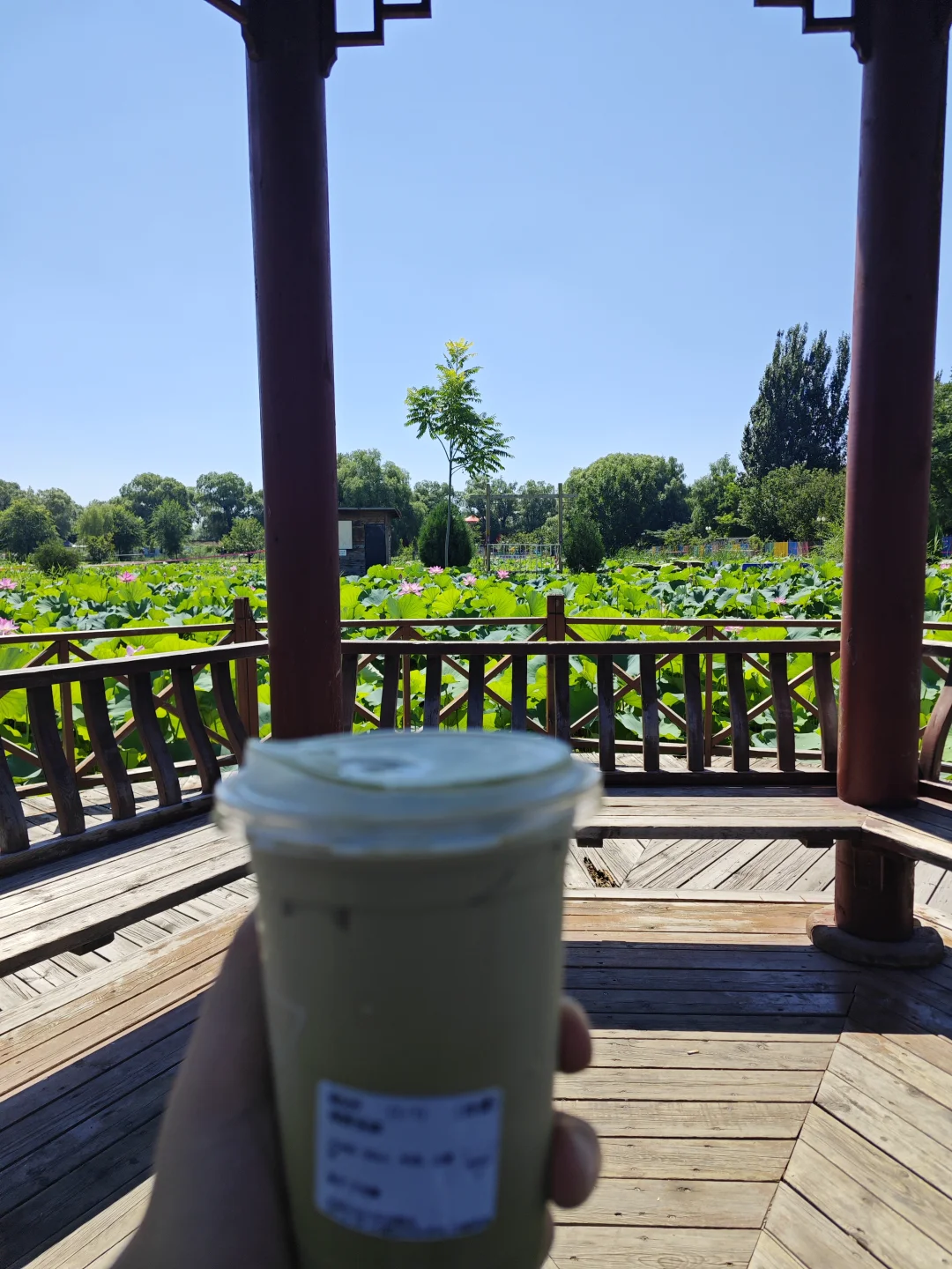 探索北京的小众景点-稻香湖公园