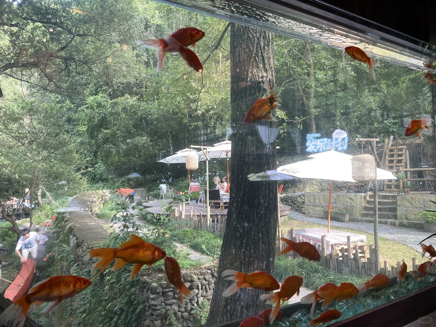 夏日出行计划之大陈北山