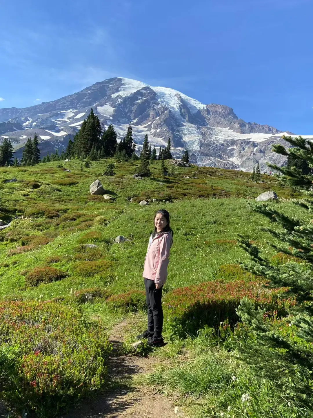 雷尼尔山|野花季遛娃线路