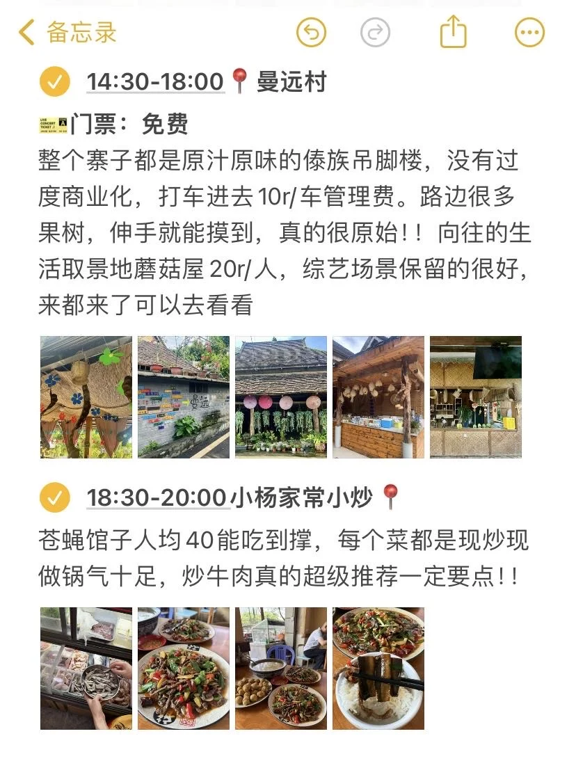 📍版纳已回！本J人对自己的攻略复盘甚是满意