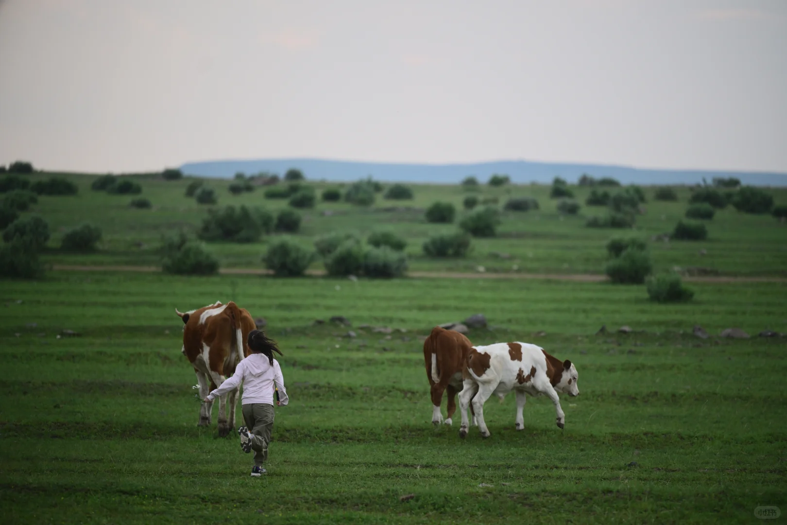 🌵乌兰察布周边🆓小众景点地-无滤镜版