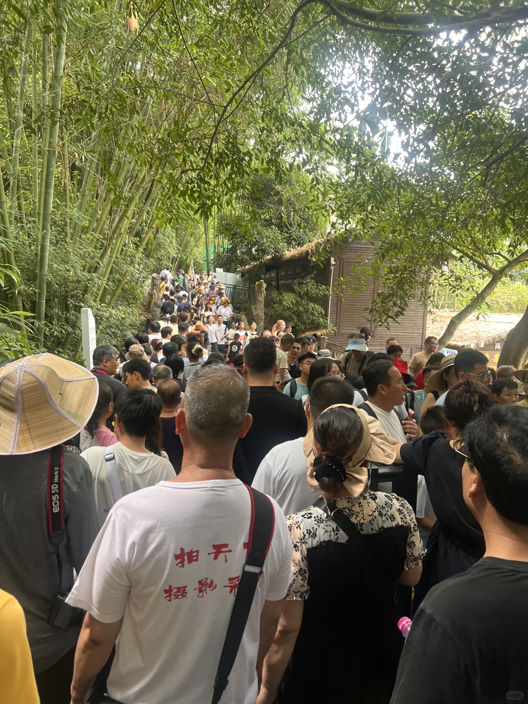 8.11最差调度景区 贵州黄果树瀑布