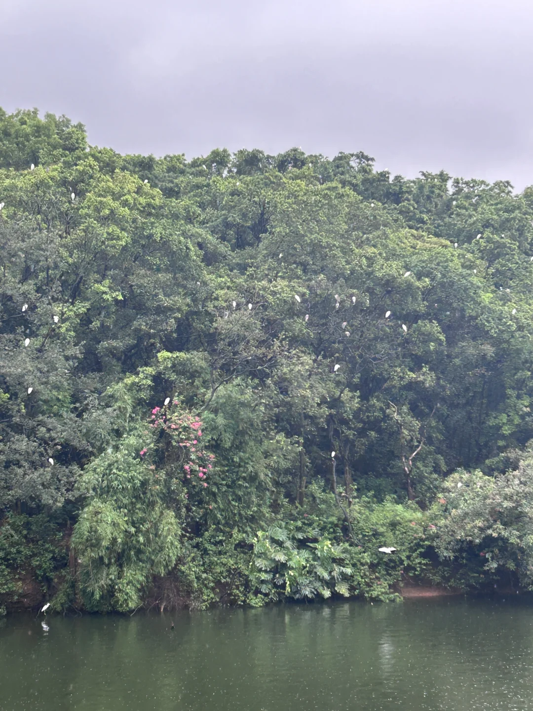 逃离城市~广州莲花山⛰️