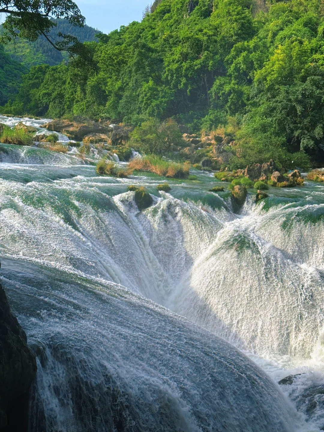 今日任务：走进小学课本里的“黄果树瀑布”