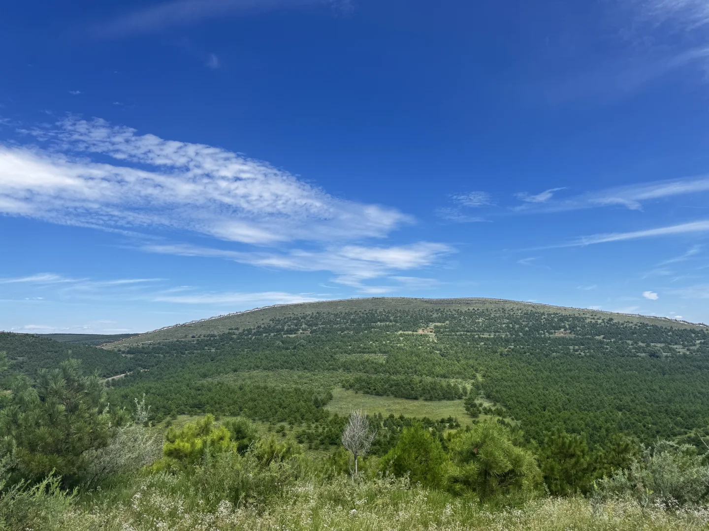 大同火山地质公园 真的很美