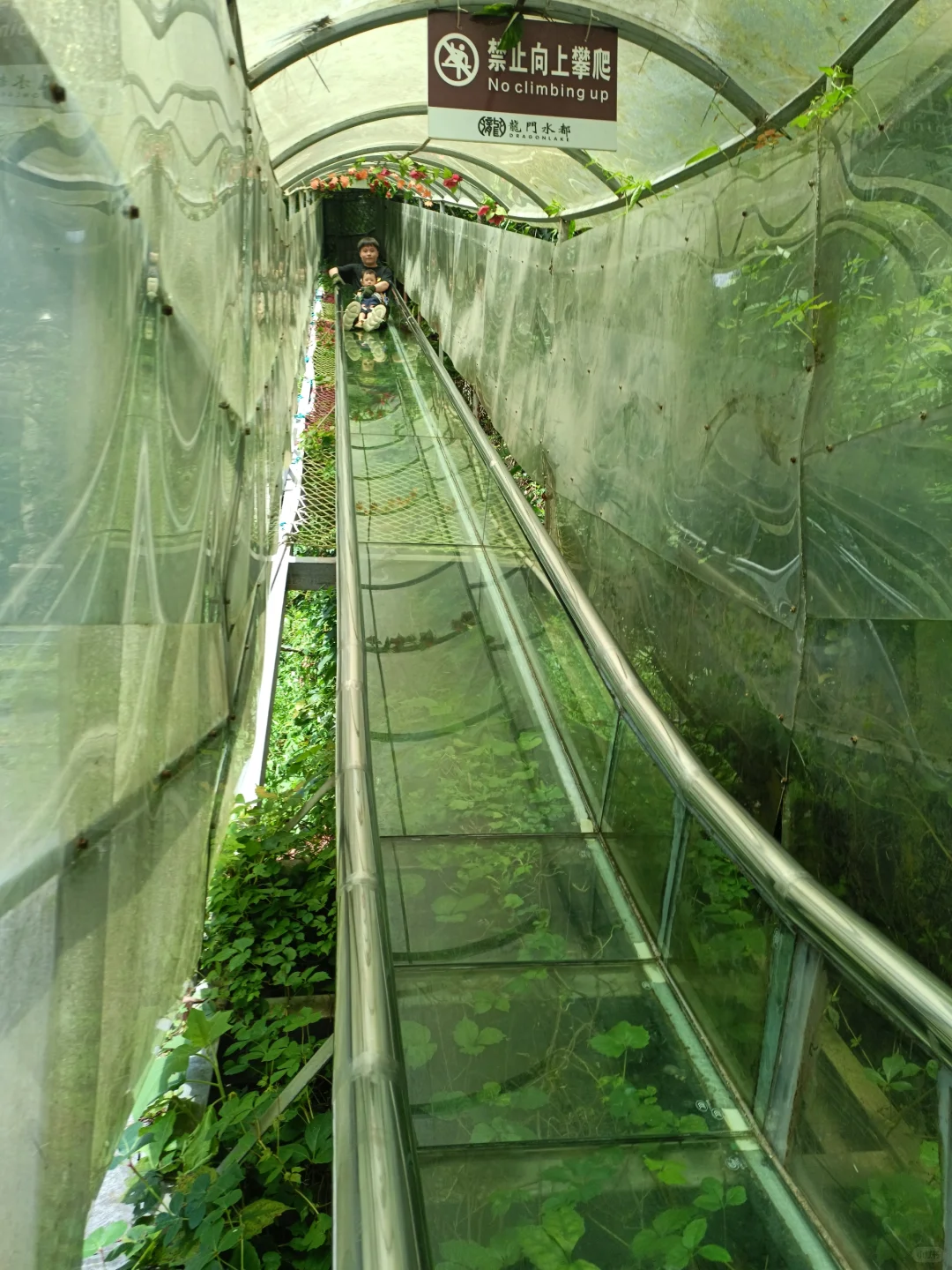 走进南宁龙门水都玻璃桥