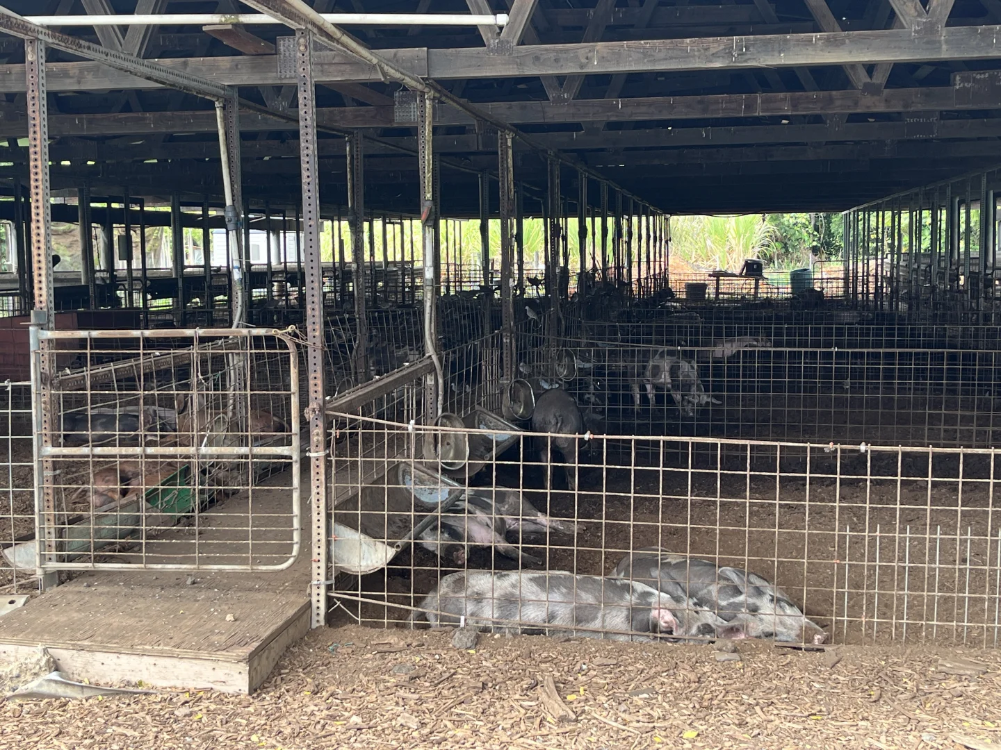 Novice E-Bike Tour ｜ 古兰尼牧场