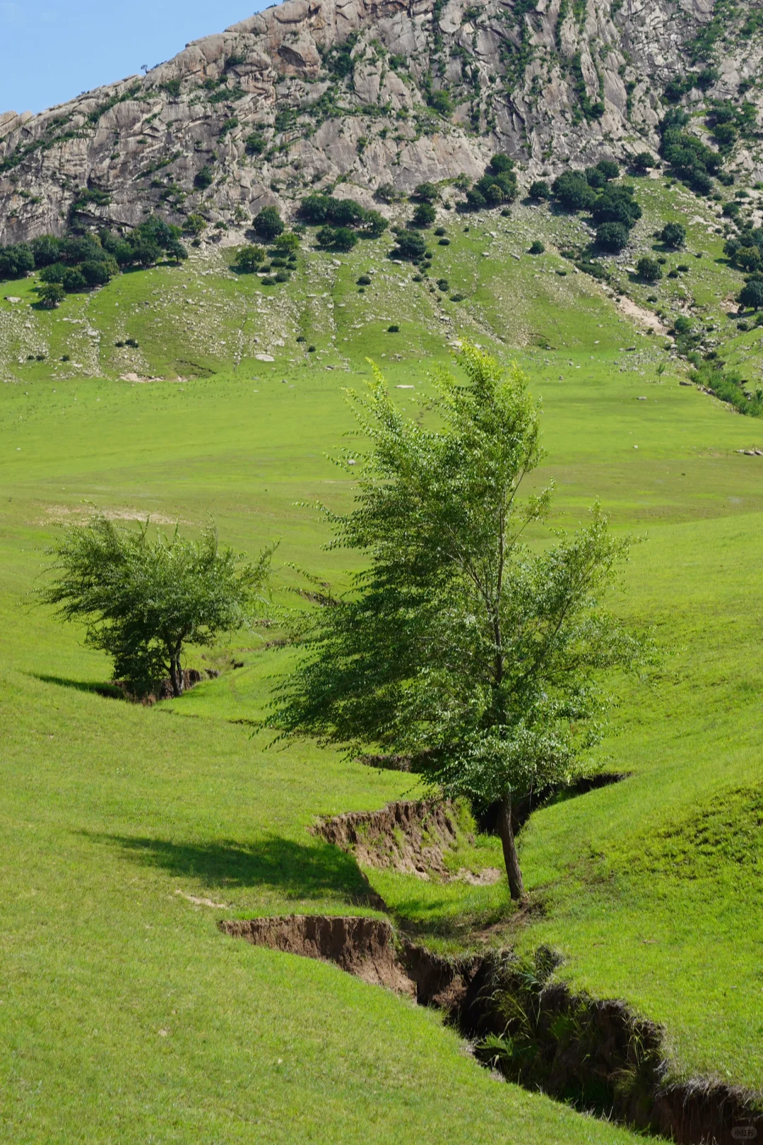 真寂之寺,今年最令我惊喜的景区出现了