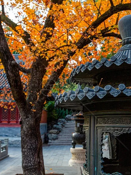 人 立秋来了 秋天的第一篇旅游景点推荐🍂