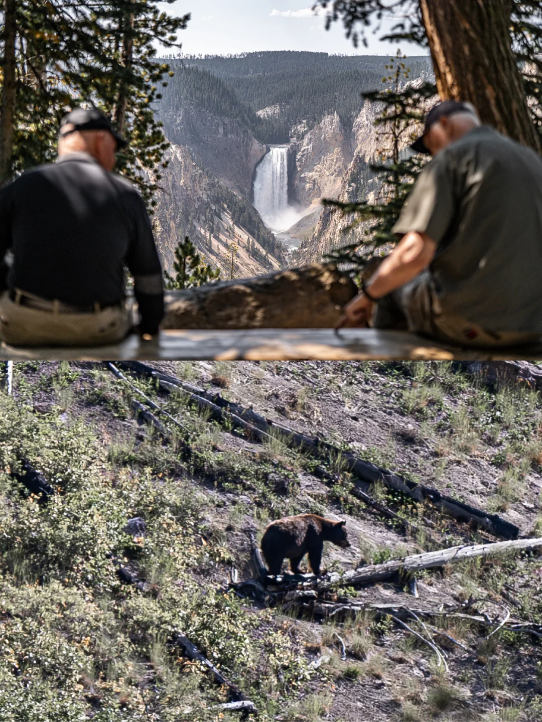 地狱边缘的天堂｜黄石国家公园（下）