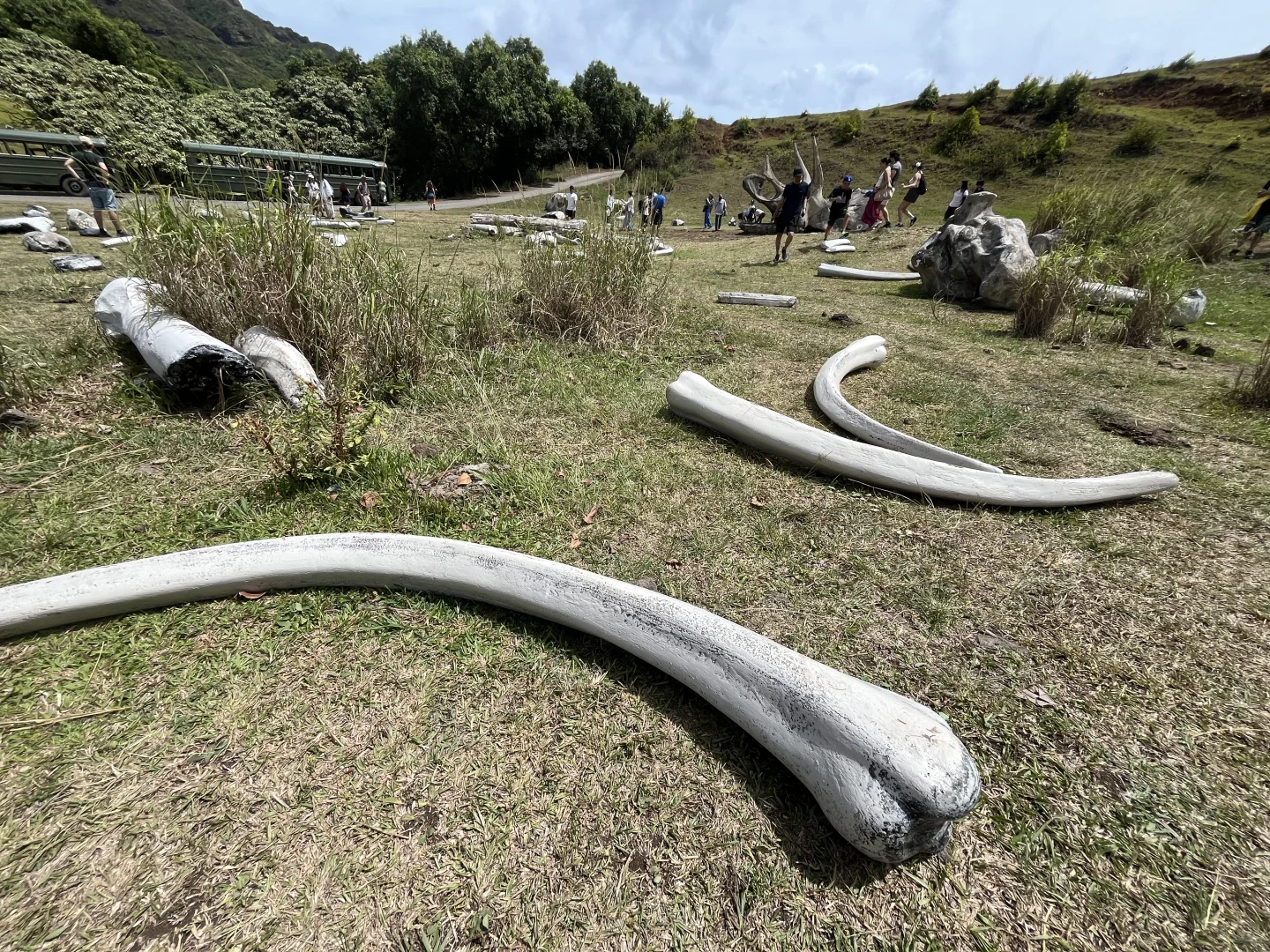 Novice E-Bike Tour ｜ 古兰尼牧场