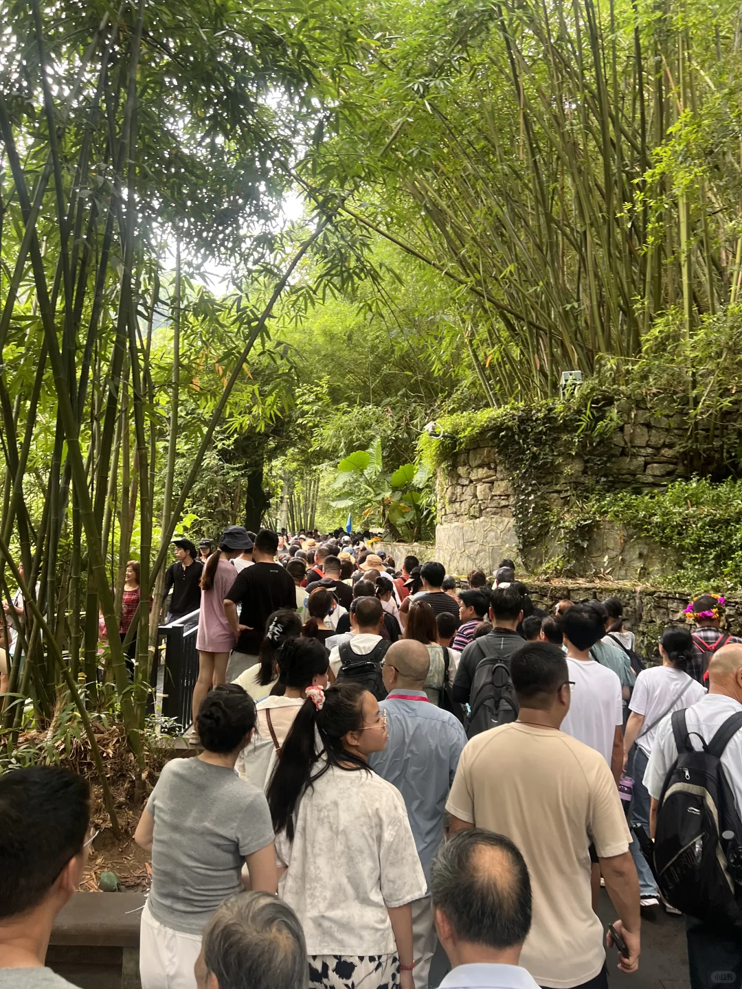 8.11最差调度景区 贵州黄果树瀑布