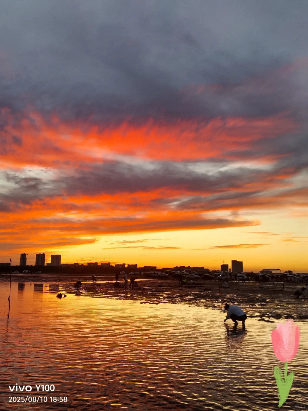 坐在海边看日落