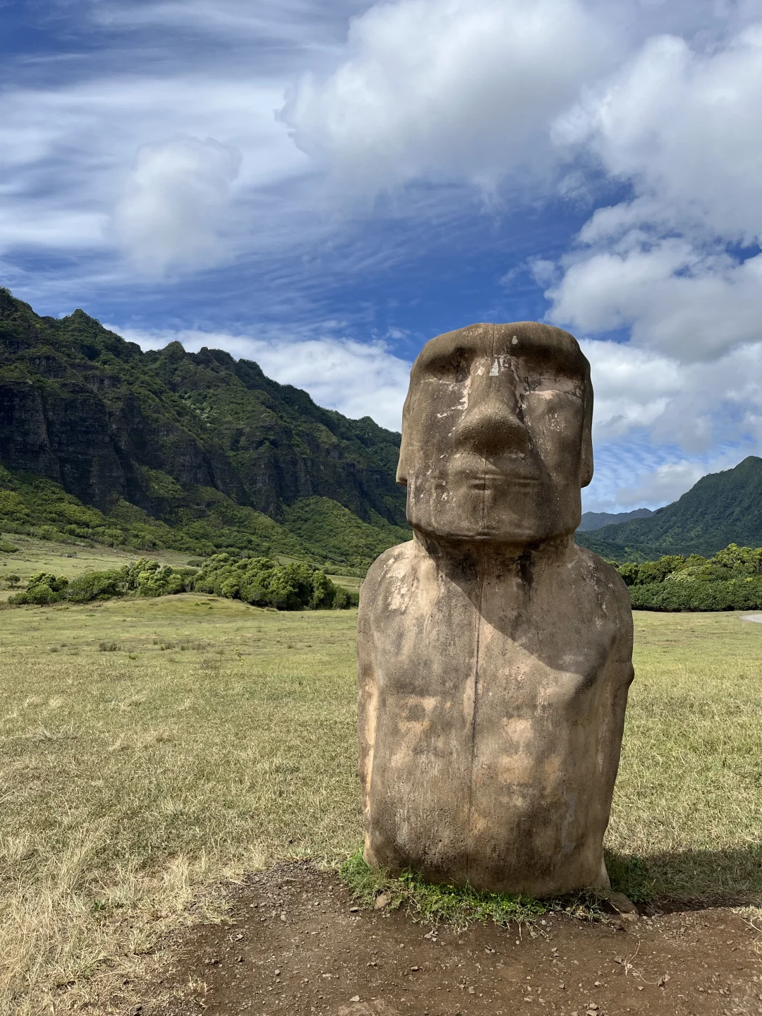 Novice E-Bike Tour ｜ 古兰尼牧场