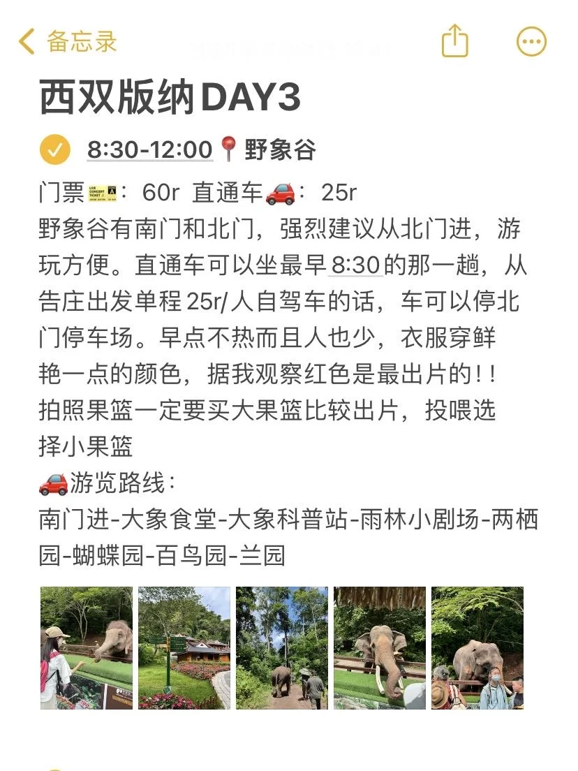 📍版纳已回！本J人对自己的攻略复盘甚是满意