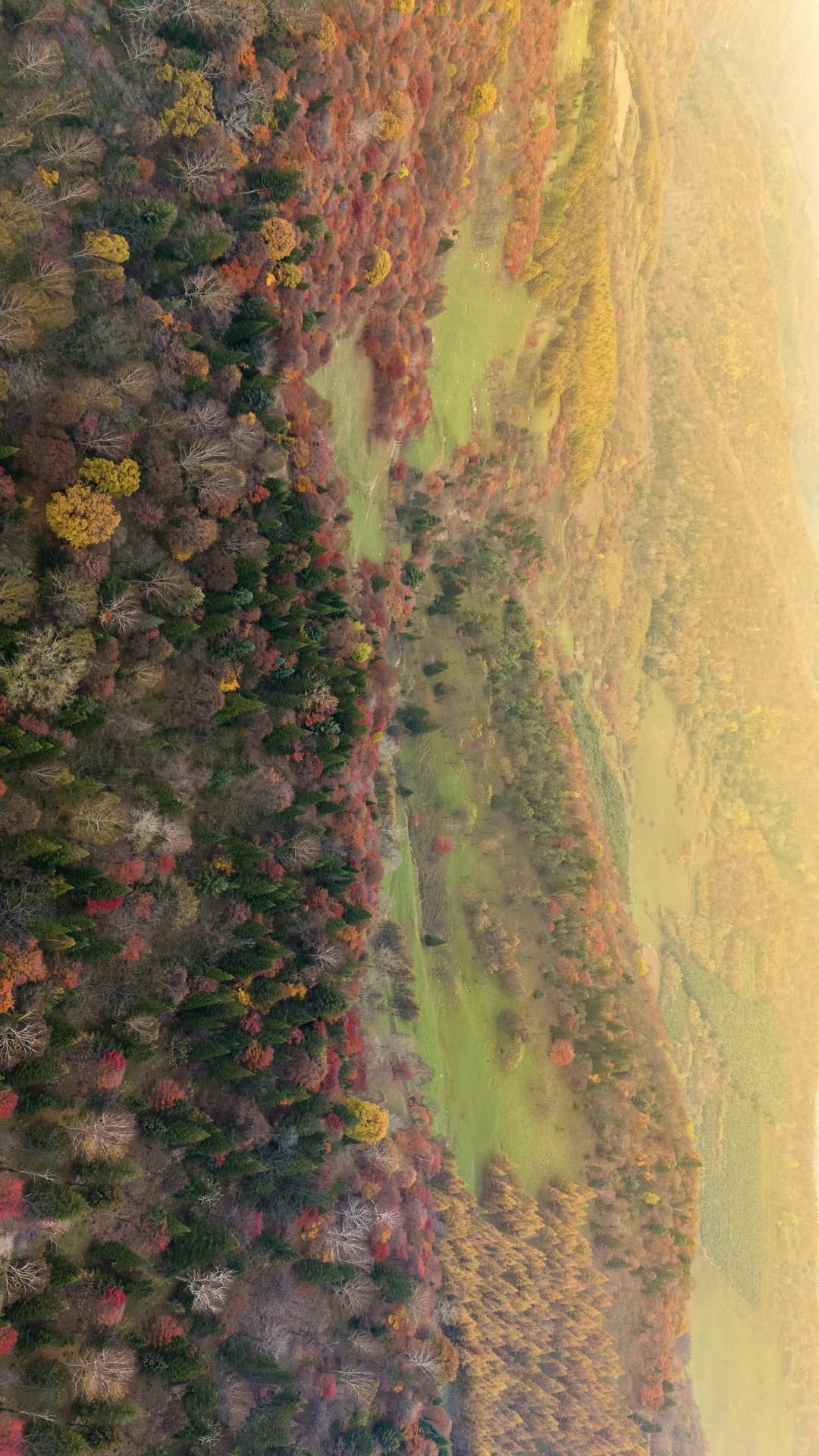 没想到长白山的溪谷竟然有如此美丽的秋天