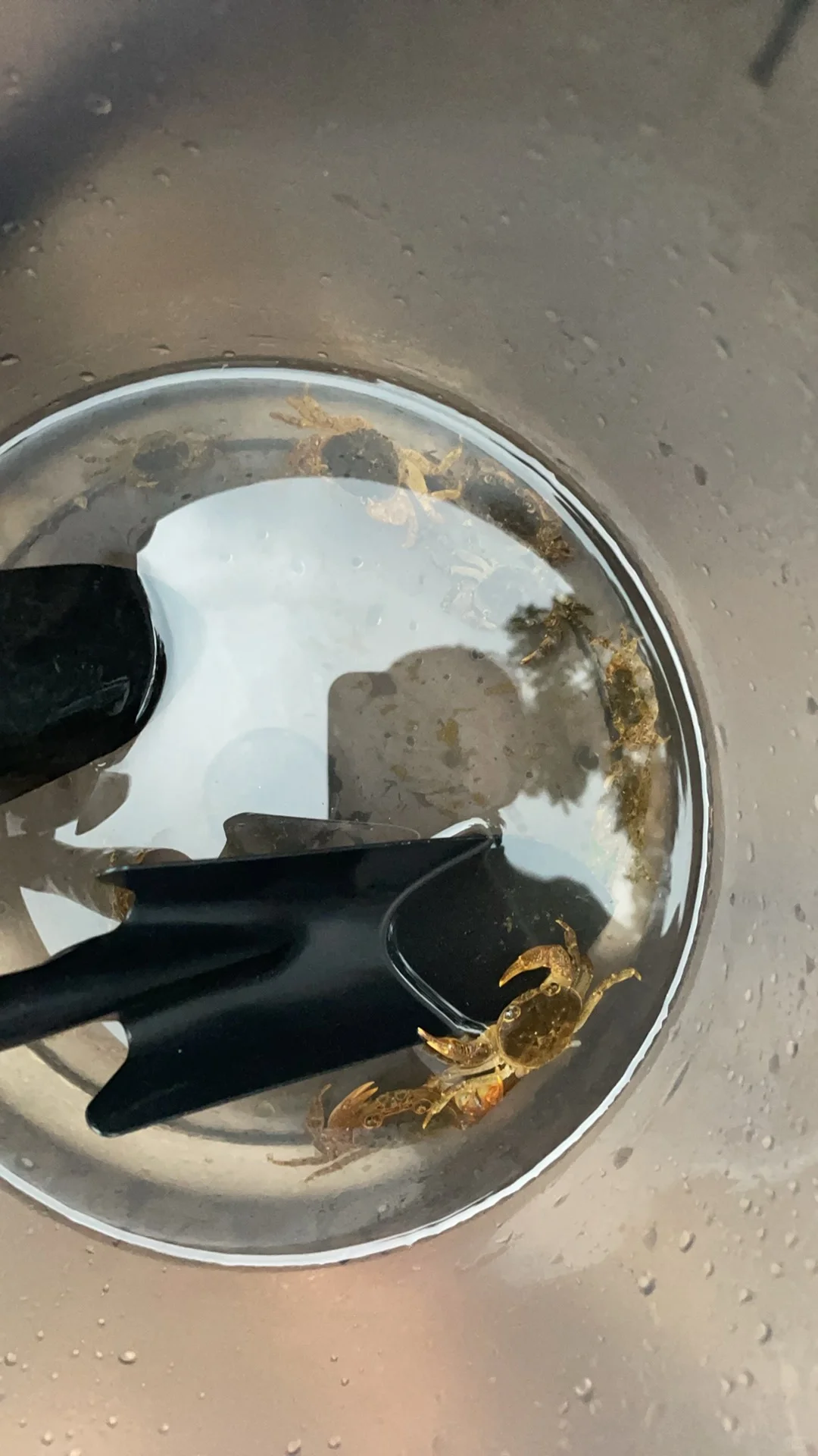 宜昌三峡车溪民俗风景区玩水加游览