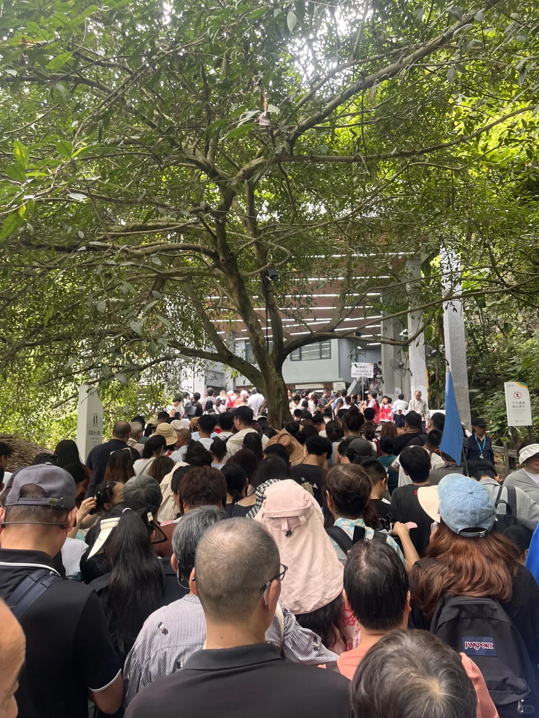 8.11最差调度景区 贵州黄果树瀑布