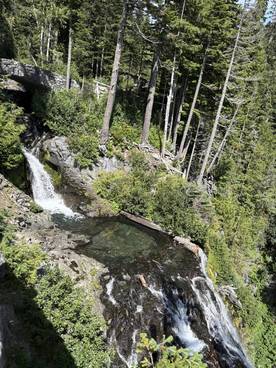 雷尼尔山|野花季遛娃线路