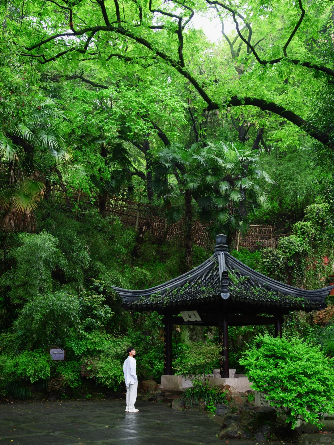 如果你去绍兴玩两天，复制这条citywalk 路线