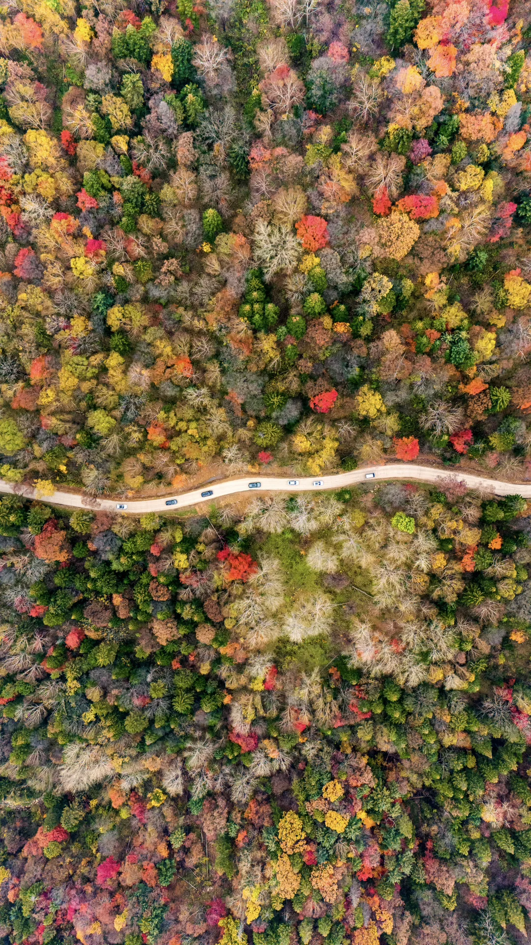 没想到长白山的溪谷竟然有如此美丽的秋天