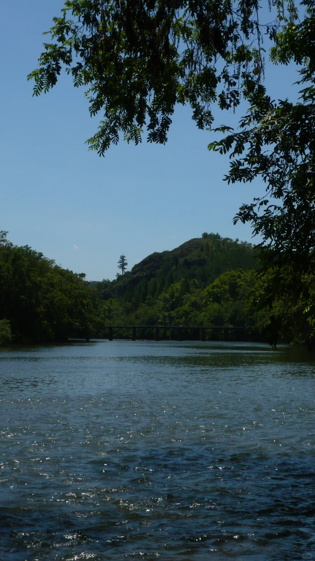 吸氧周末｜丽水48小时🌳🫧🌄