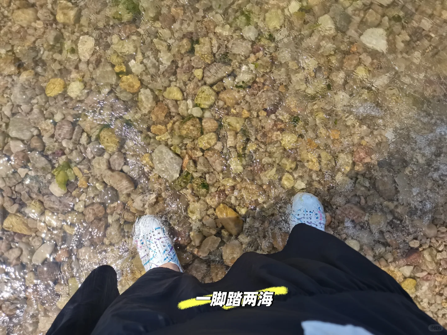 长岛行之烽山林海