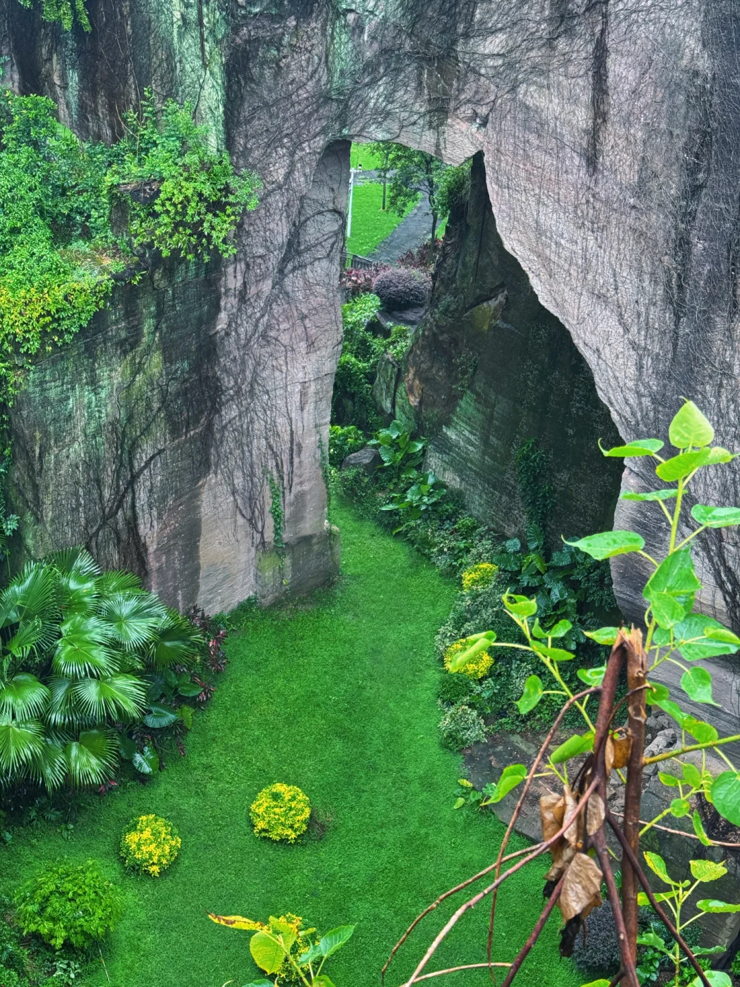 逃离城市~广州莲花山⛰️