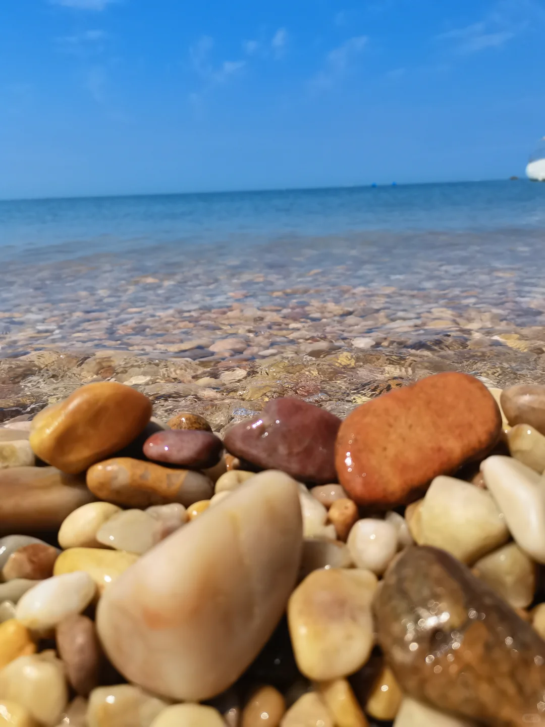 长岛行之烽山林海