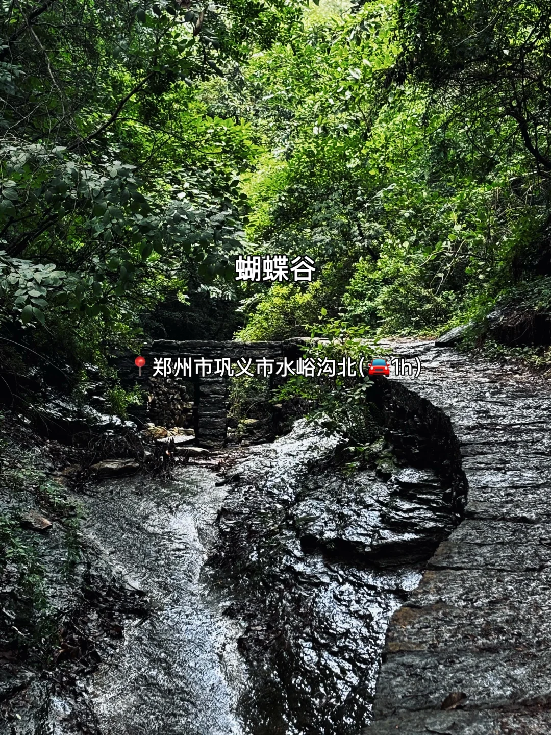 郑州周边避暑溯溪玩水💦十二个好去处‼️