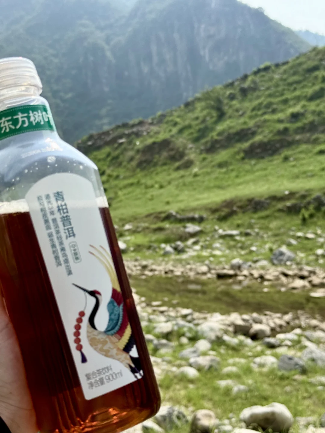 在阿勒泰？不！这是河南济源📍📍