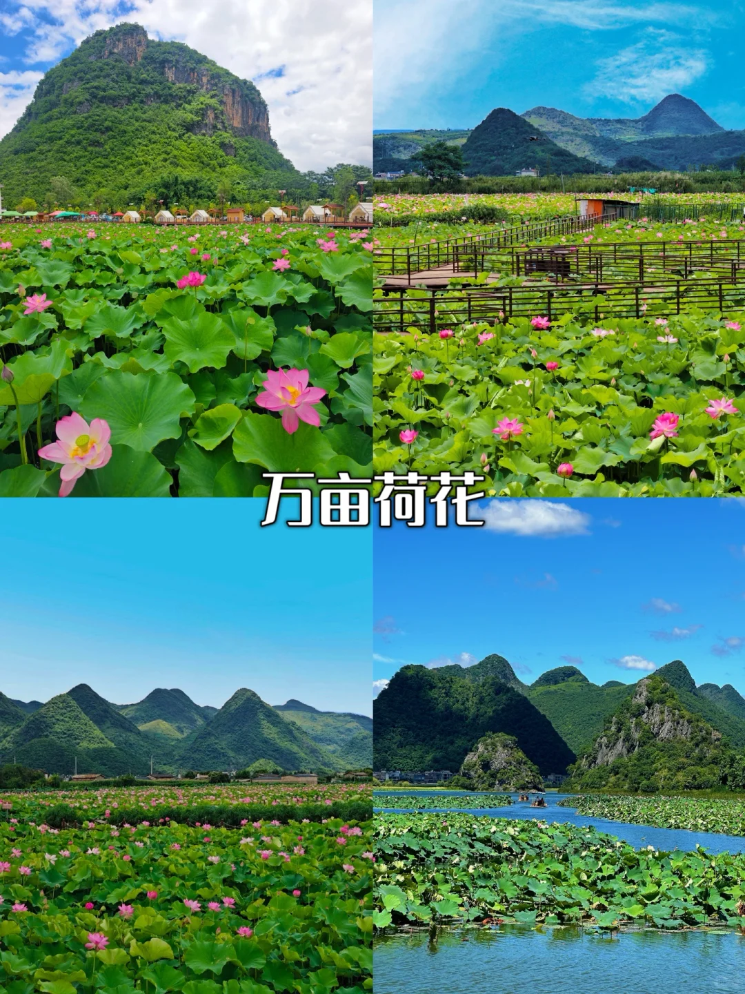 暑假反向旅游❗滇东南环线详细路线攻略⭐️