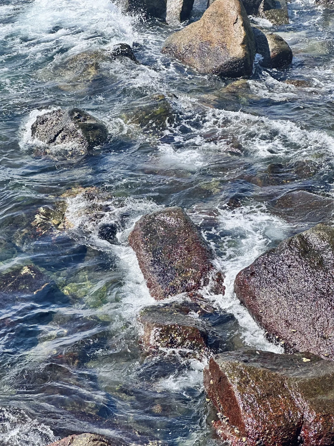 宝藏陵水攻略（自发分享版）