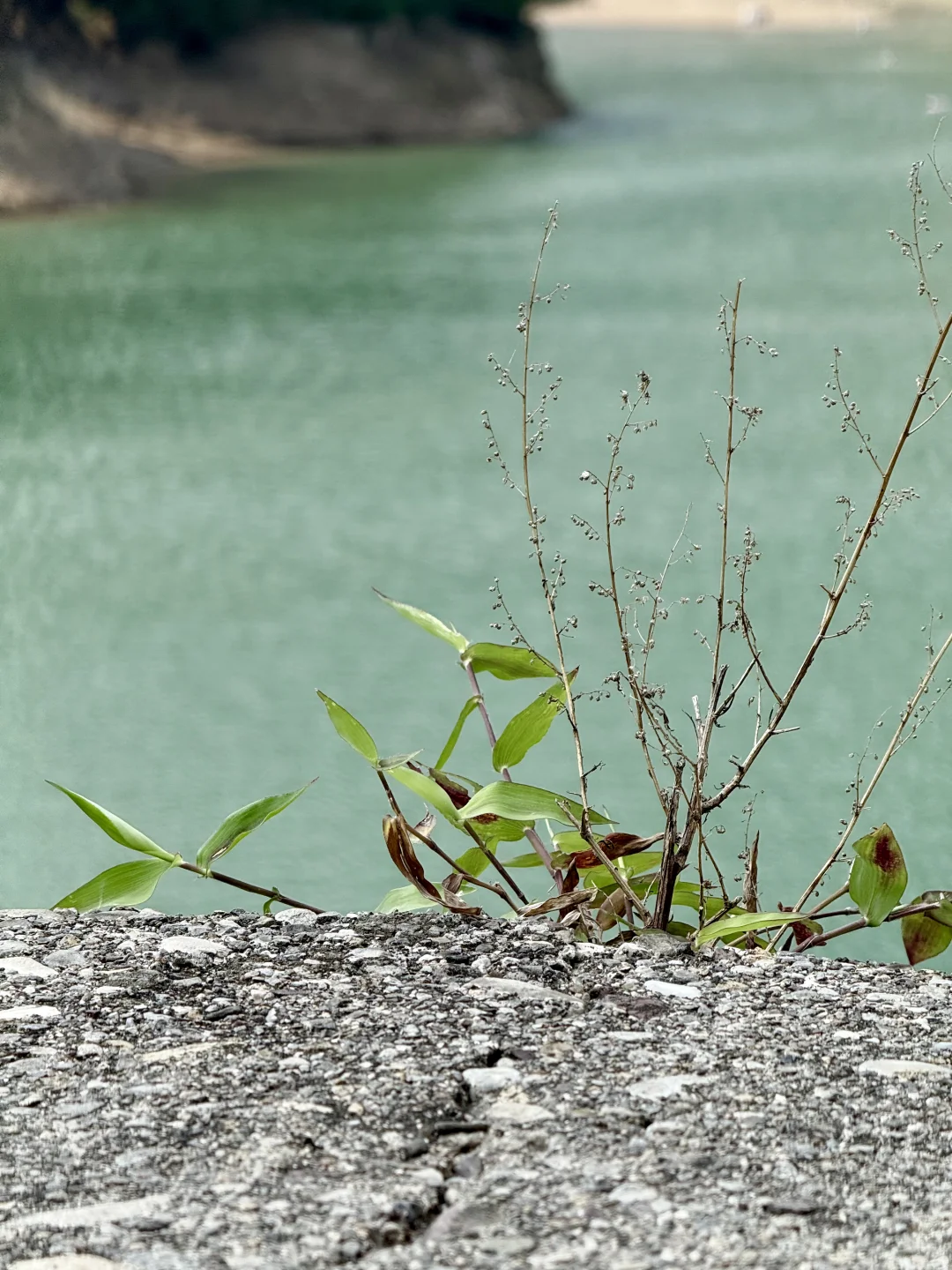 在阿勒泰？不！这是河南济源📍📍